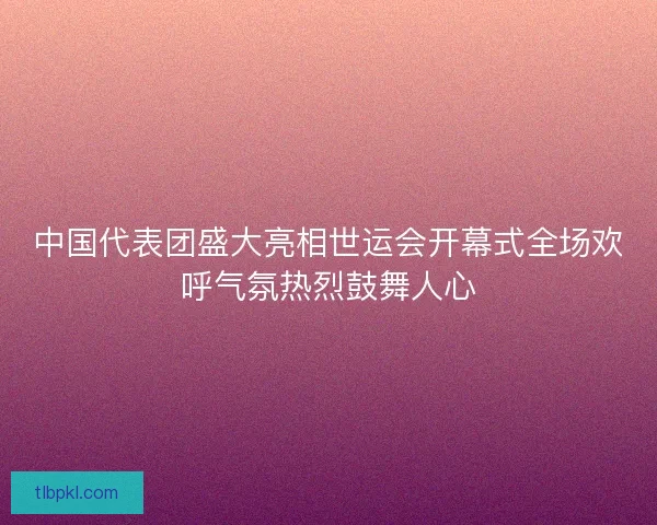 中国代表团盛大亮相世运会开幕式全场欢呼气氛热烈鼓舞人心